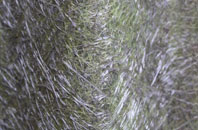 Methilhill fibreglass roof work